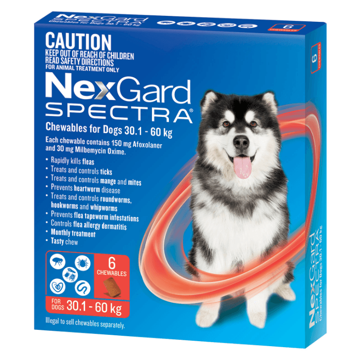 澳洲NexGard Spectra 大型犬咀嚼片 紅色 30.1-60Kg 6包
